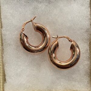 Moda Rose Gold Hoop Earrings